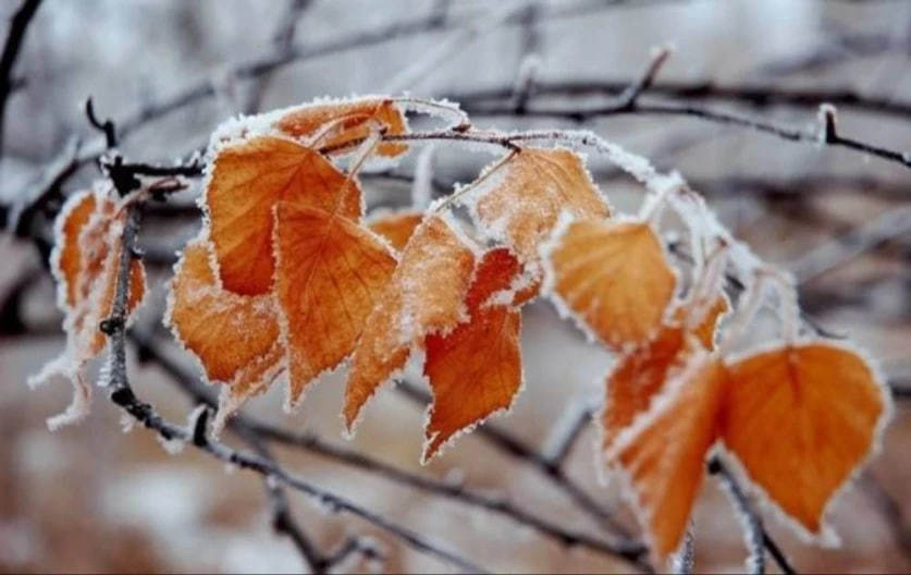 Օդի ջերմաստիճանը զգալի կնվազի