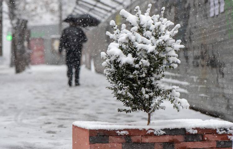 Սպասվում են տեղումներ ձյան տեսքով